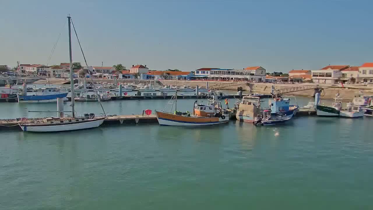 A harbor filled with sailboats and fishing boats on a sunny day.