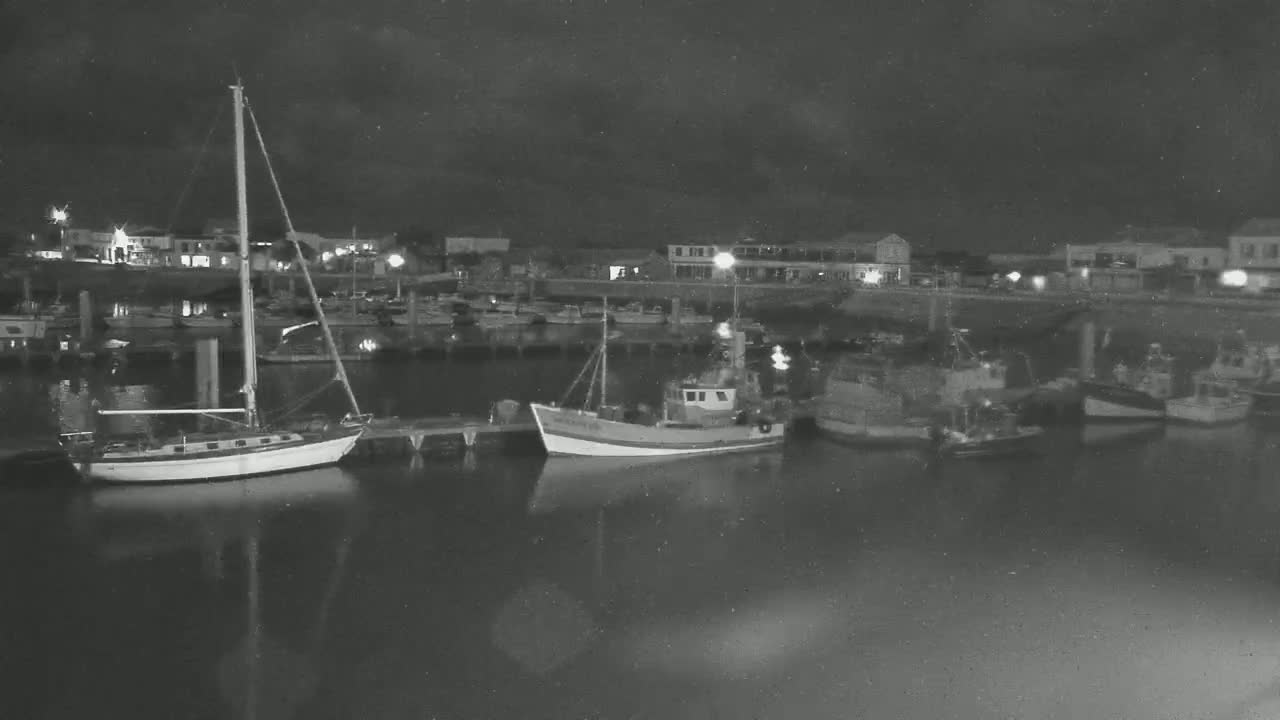 A sailboat and several fishing boats are moored in a harbor at night under a cloudy sky.