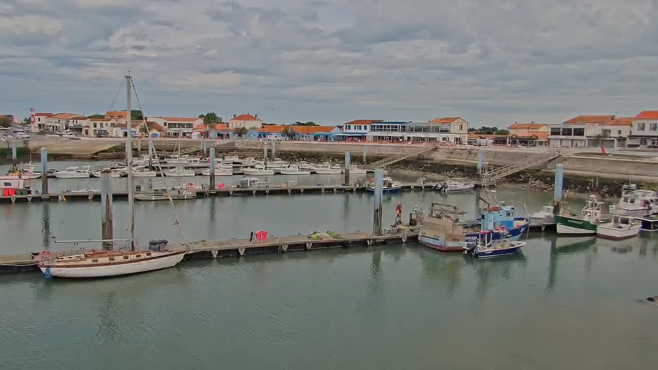 A harbor filled with numerous boats of varying sizes is situated along a waterfront lined with buildings under a cloudy sky.