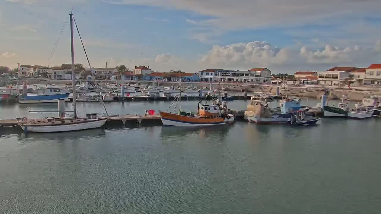 A harbor filled with sailboats and fishing vessels is situated near a waterfront town under a partly cloudy sky.