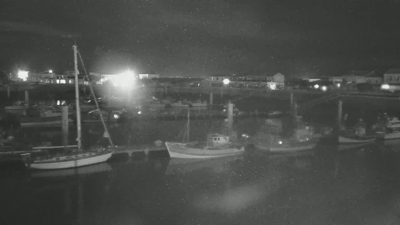 At night, a harbor is filled with several boats and sailboats moored along a dock, with buildings and lights visible in the background.