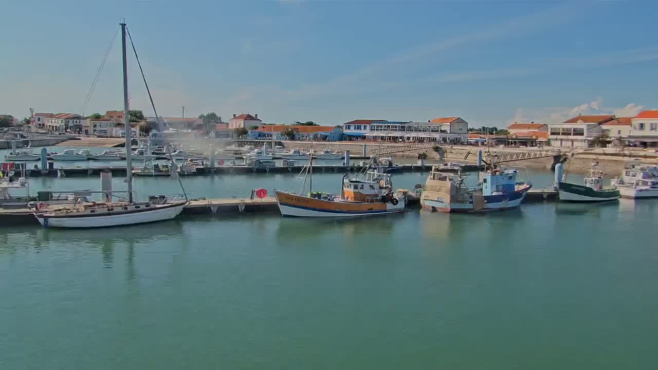 A marina filled with sailboats and fishing boats on a sunny day.