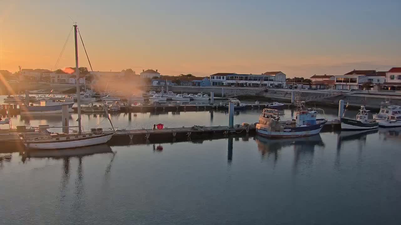 A calm harbor at sunrise, filled with sailboats and fishing boats moored at docks near buildings.