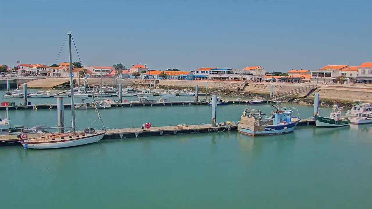 A marina filled with sailboats and fishing boats is situated along a waterfront town under a clear, sunny sky.