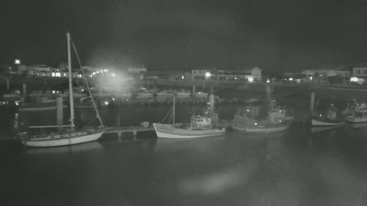 Oleron - La Cotiniere Marine Live Cam - Rochefort, Charente-Maritime, Nouvelle-Aquitaine, France
