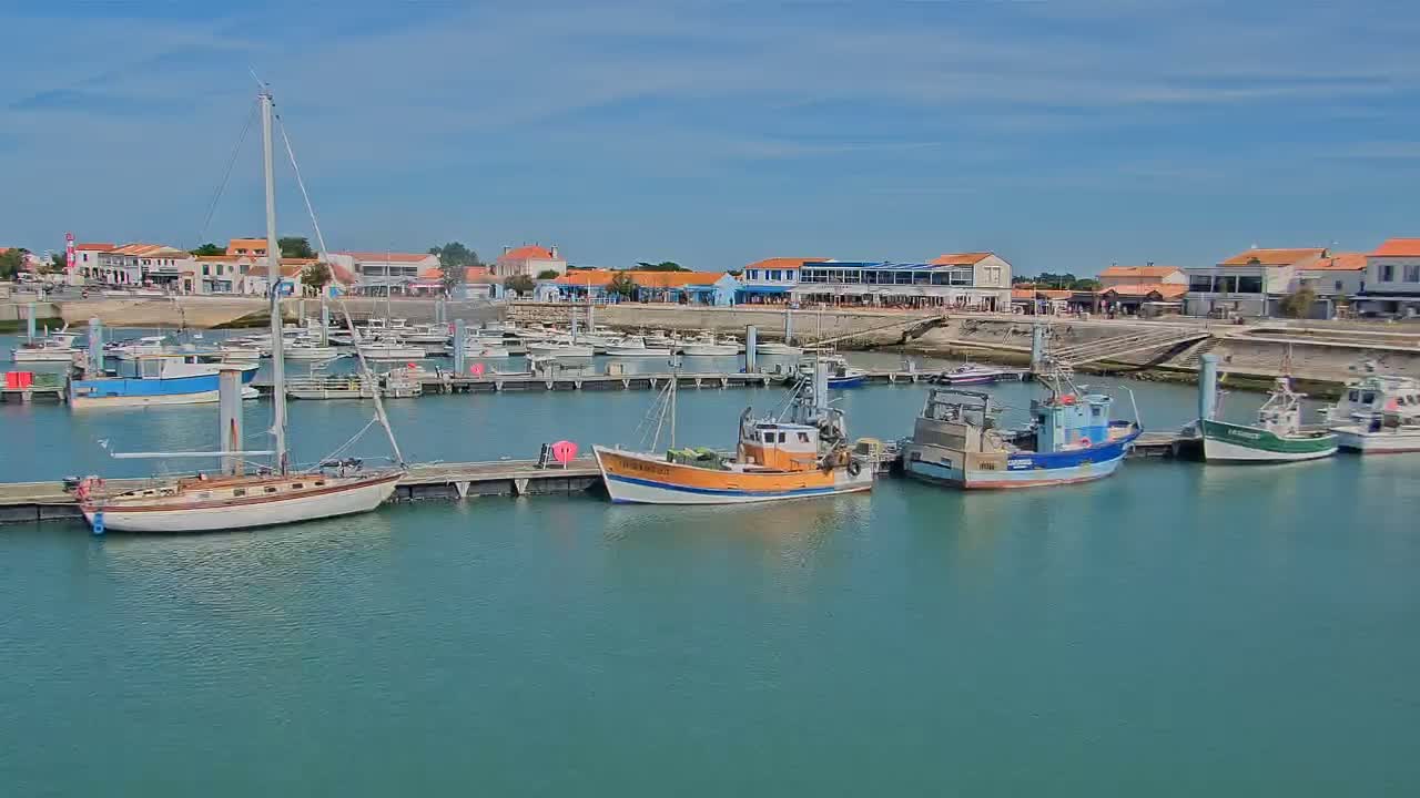 A harbor filled with sailboats and fishing boats is situated near a waterfront town under sunny skies.