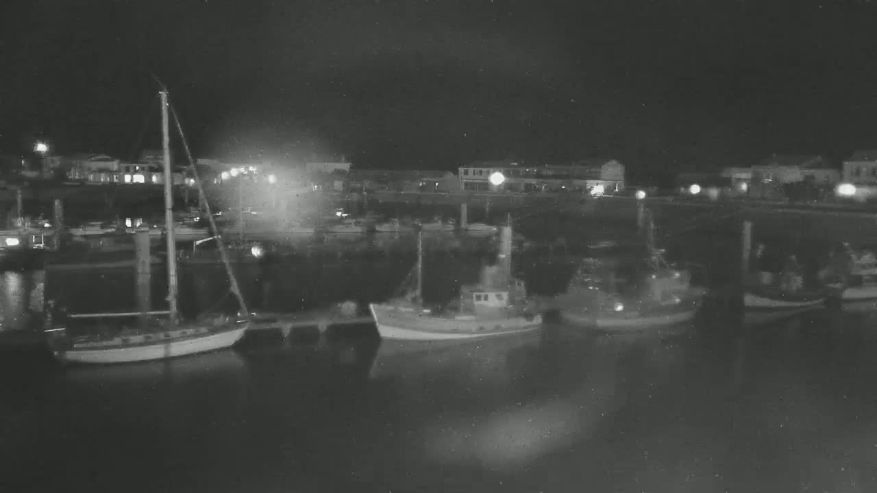Several boats are moored at a dock at night, under a dark sky.
