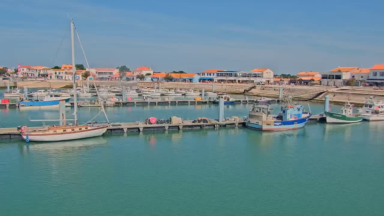 A marina filled with sailboats and fishing boats is situated in front of a town of low-rise buildings on a sunny day.