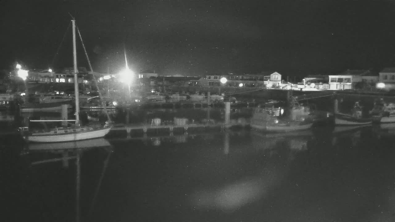 A sailboat and several other boats are docked at a marina at night, under a dark sky.