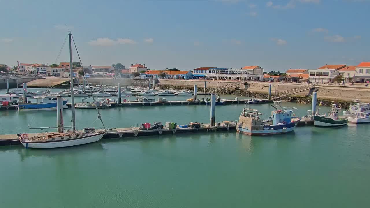 A marina filled with sailboats and fishing vessels is situated in front of a seaside town on a sunny day.