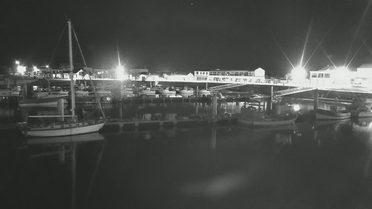A nighttime harbor scene shows several boats moored at docks near brightly lit buildings, reflected in calm water.