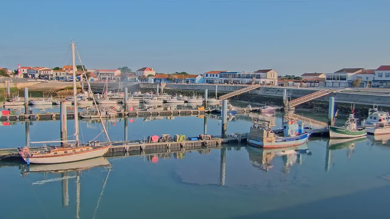 A calm harbor filled with sailboats and fishing vessels is situated in front of a waterfront town under a clear, sunny sky.