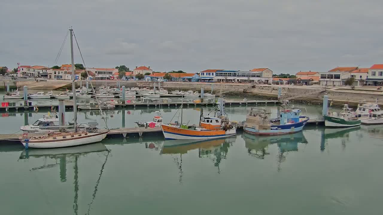 A harbor filled with sailboats and fishing boats on a calm, overcast day.