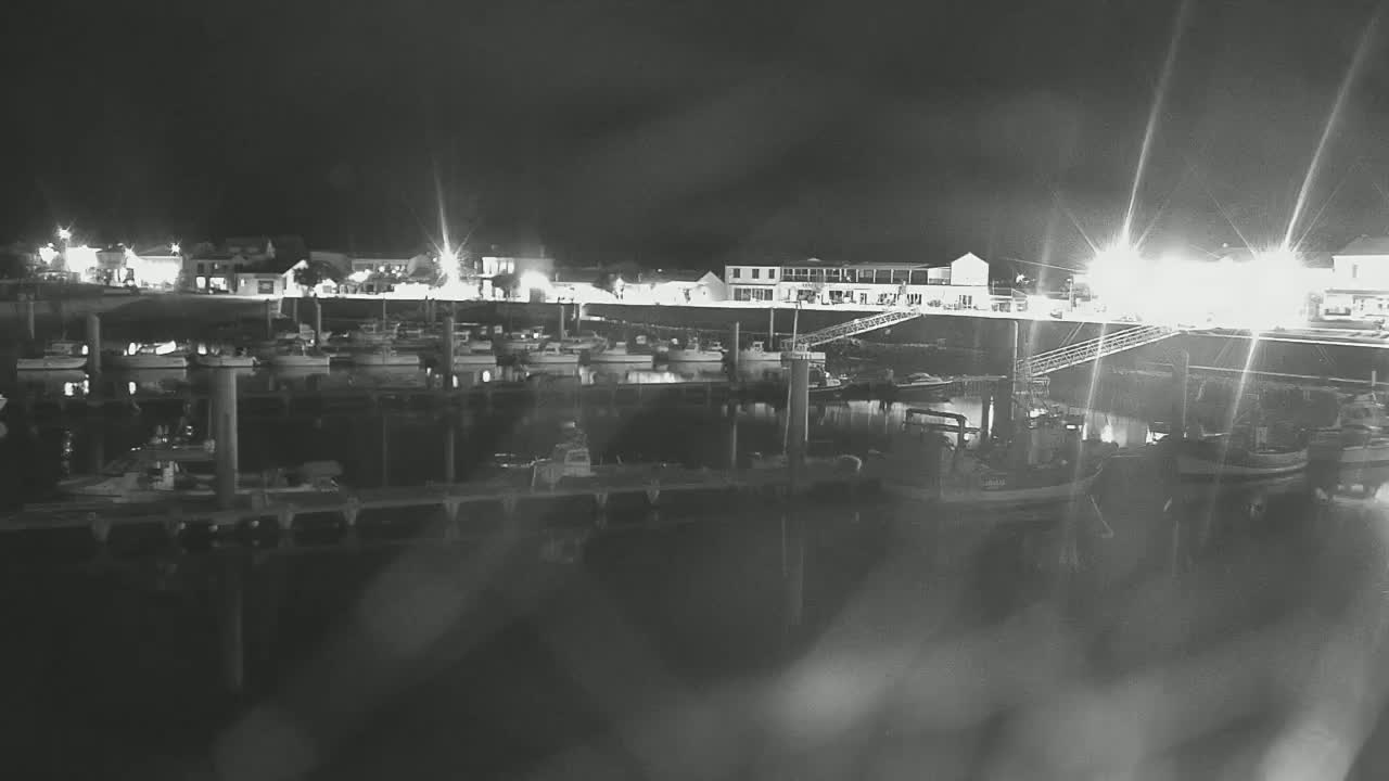 A marina filled with sailboats and fishing boats is situated in front of a waterfront town under a partly cloudy sky.