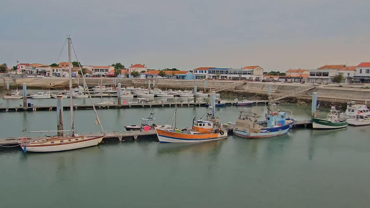 A calm harbor filled with various boats, including sailboats and fishing vessels, is situated in front of a small town under an overcast sky.
