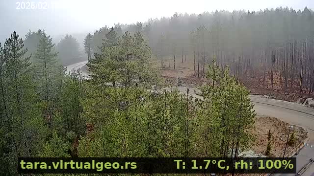 Sumadija ( Шумадија, Баре Виллаге Природа, Бајина Башта) Bare Village Nature, Bajina Basta Live Cam - Bare, Solotusa, Bajina Bašta, Šumadija, Šumadija and Western Serbia, Serbia