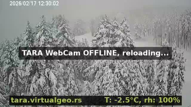 Sumadija ( Шумадија, Баре Виллаге Природа, Бајина Башта) Bare Village Nature, Bajina Basta Live Cam - Bare, Solotusa, Bajina Bašta, Šumadija, Šumadija and Western Serbia, Serbia