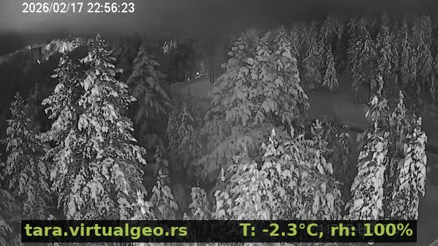 Sumadija ( Шумадија, Баре Виллаге Природа, Бајина Башта) Bare Village Nature, Bajina Basta Live Cam - Bare, Solotusa, Bajina Bašta, Šumadija, Šumadija and Western Serbia, Serbia