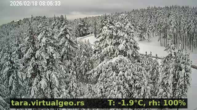 Sumadija ( Шумадија, Баре Виллаге Природа, Бајина Башта) Bare Village Nature, Bajina Basta Live Cam - Bare, Solotusa, Bajina Bašta, Šumadija, Šumadija and Western Serbia, Serbia
