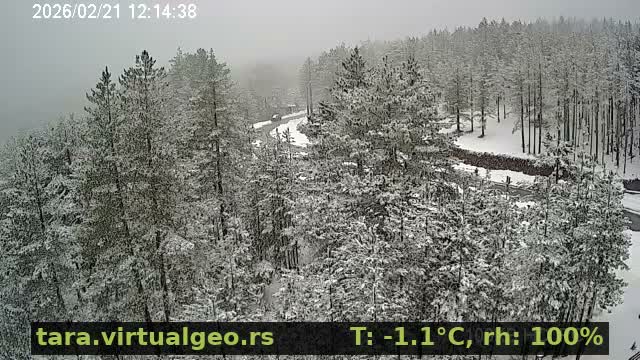 Sumadija ( Шумадија, Баре Виллаге Природа, Бајина Башта) Bare Village Nature, Bajina Basta Live Cam - Bare, Solotusa, Bajina Bašta, Šumadija, Šumadija and Western Serbia, Serbia