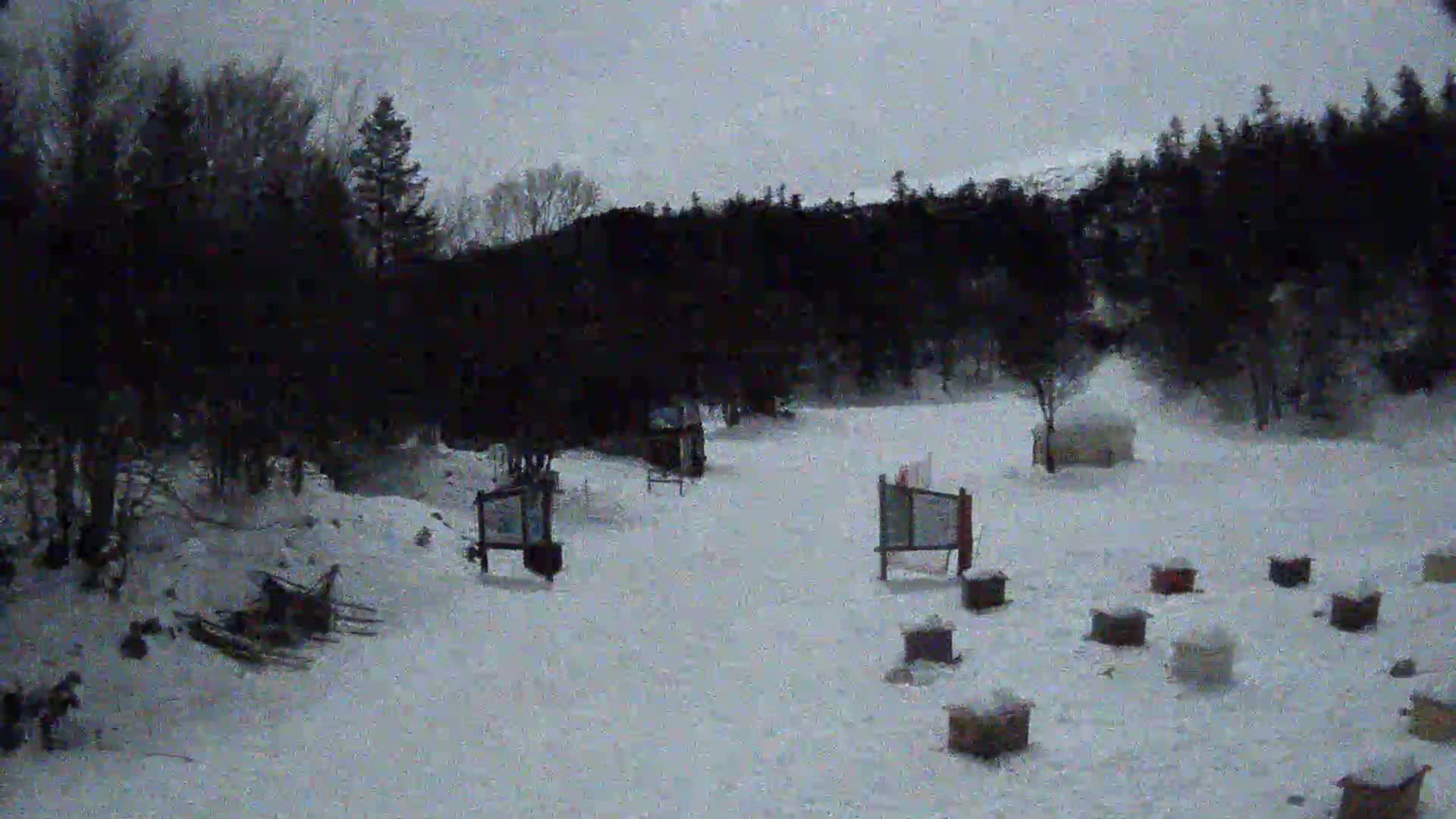 A snow-covered area with several small structures and signage is surrounded by a dark evergreen forest under an overcast sky.