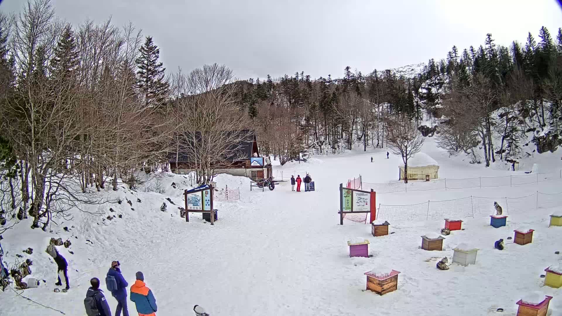 A snow-covered ski slope with several people, a small building, and numerous dog houses, under an overcast sky.