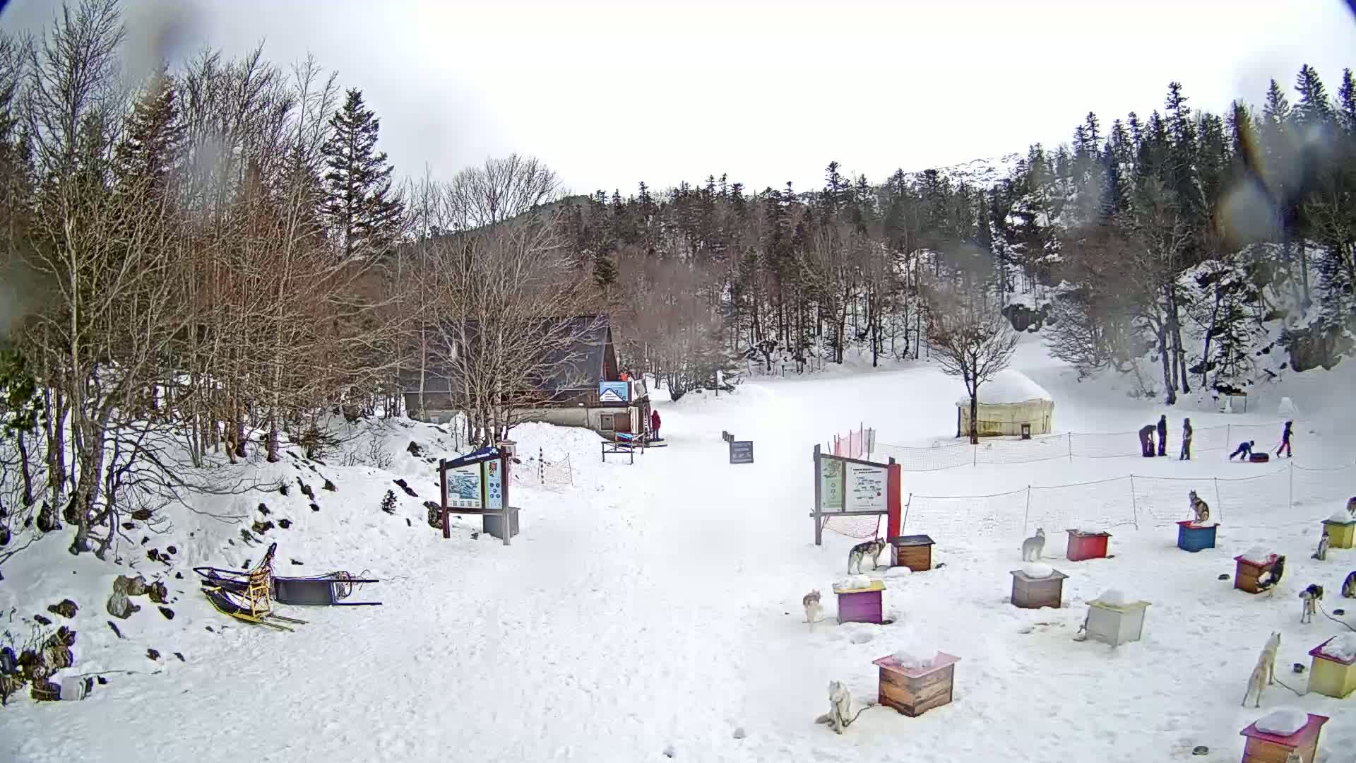 A snowy, overcast day at a winter recreation area shows a small building, a yurt, several people, numerous sled dogs in individual kennels, and two dog sleds parked nearby.
