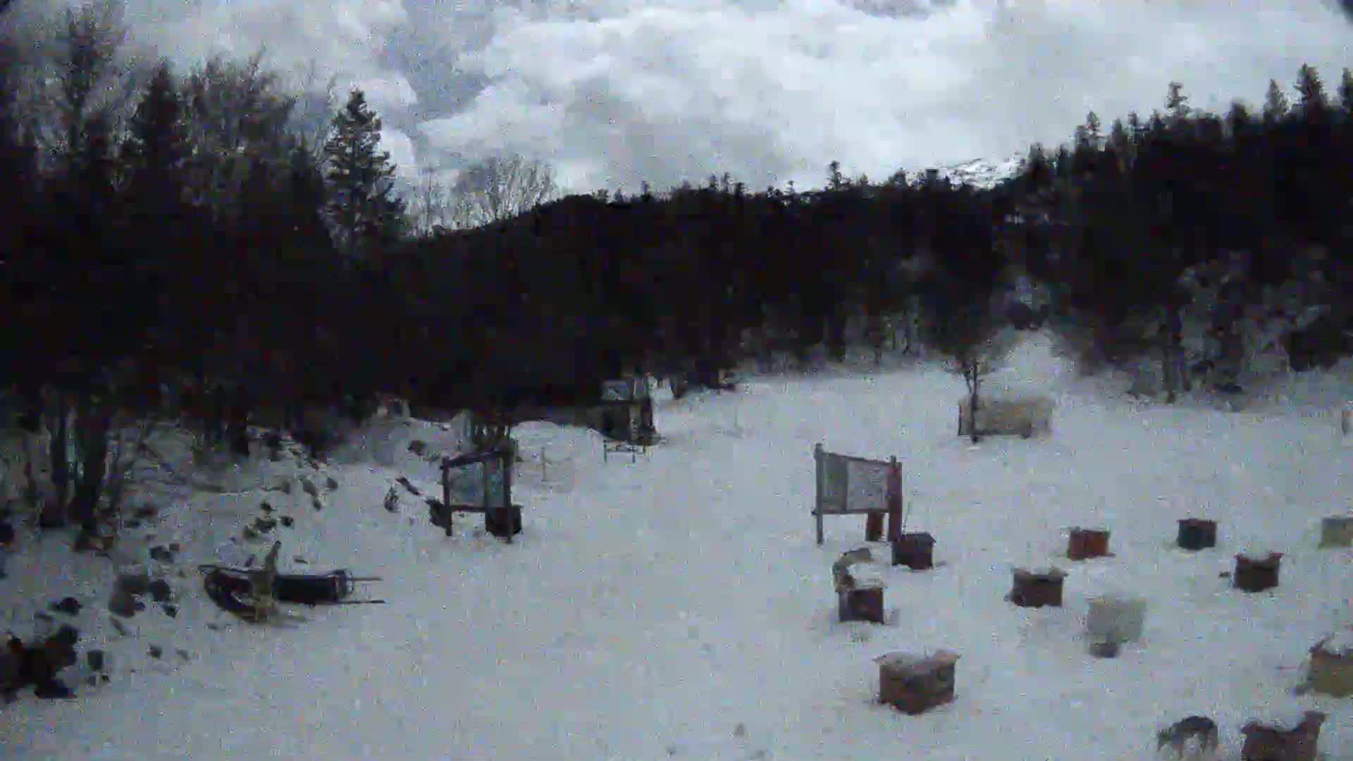 A snowy, overcast scene shows a wooded area with several small structures and a sled in the foreground.