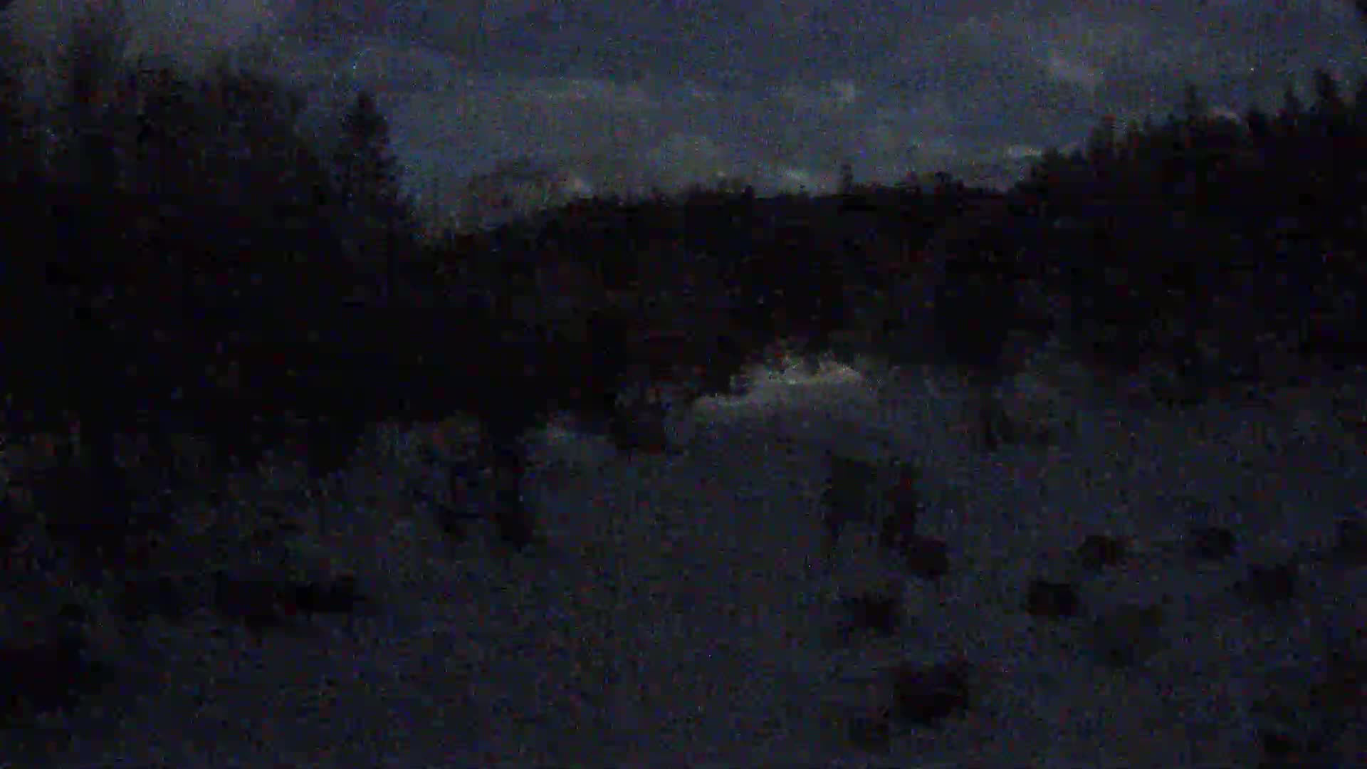 A dark, snowy night scene shows several indistinct shapes moving in a snow-covered area near a dark, wooded hillside under a slightly cloudy night sky.
