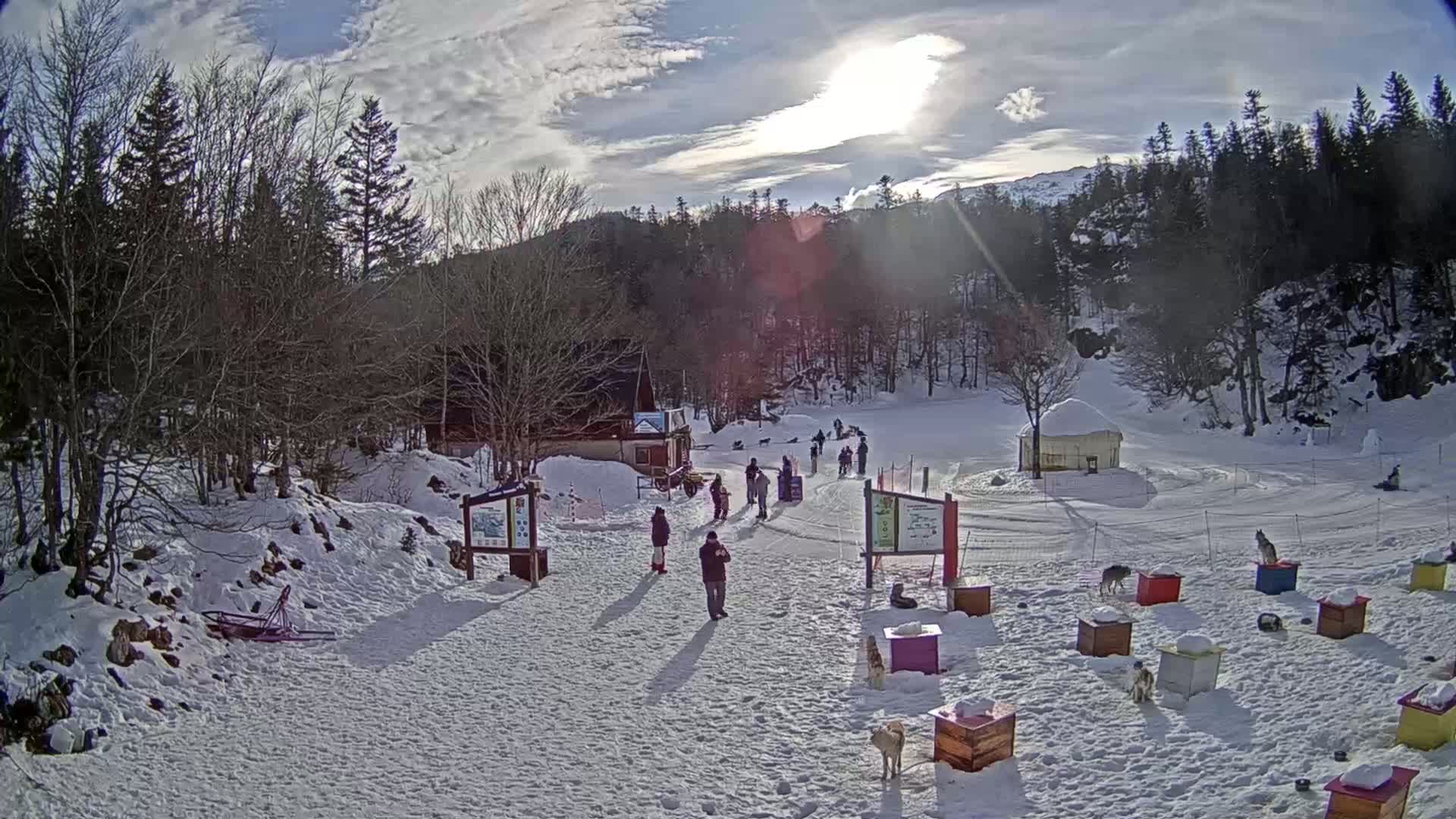 A sunny winter day at a snow-covered outdoor area with several people, dogs, and small wooden structures, near a building and a wooded hillside.