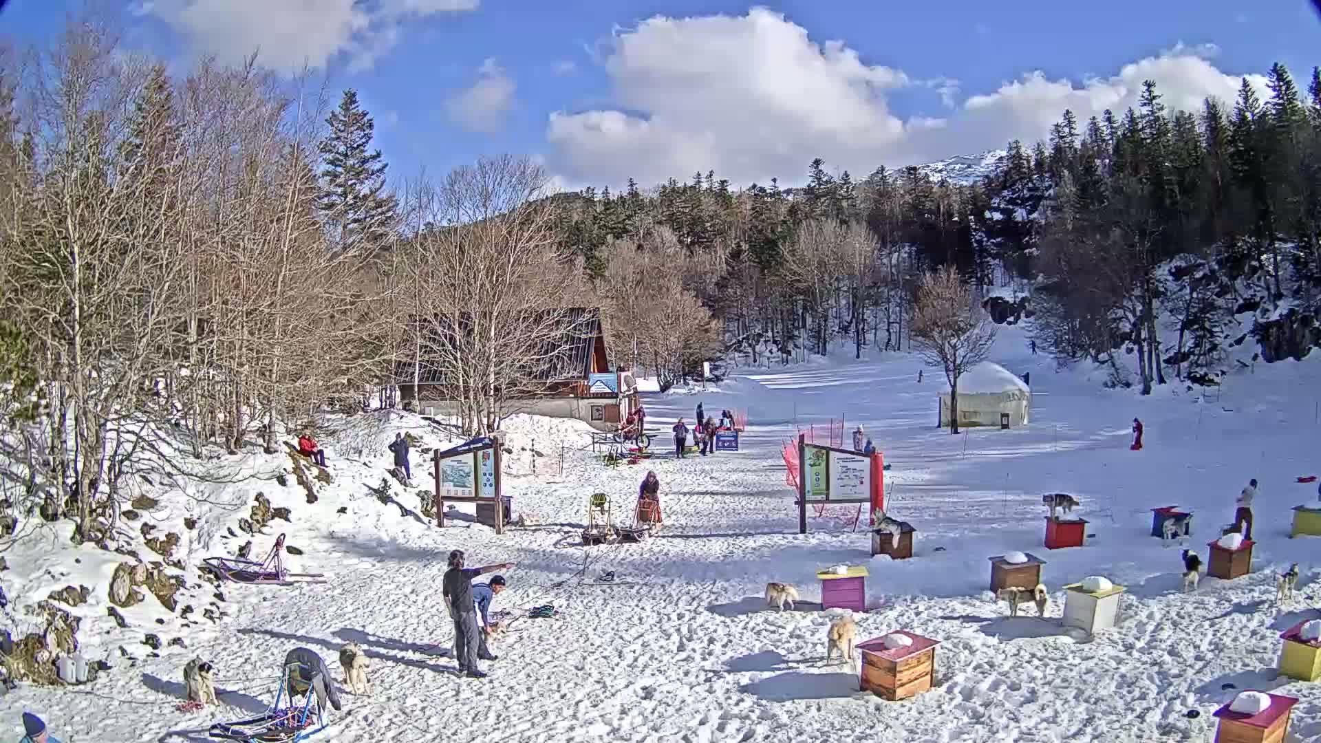 A snowy scene with a small building, several people, numerous sled dogs in colorful dog houses, and a mostly sunny sky.
