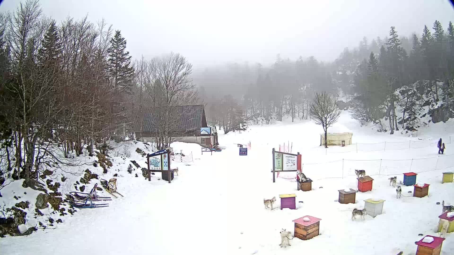 La Pierre-Saint-Martin -Espace Nordique Ski Slope Live Cam - Arette, Pyrenees-Atlantiques, Nouvelle-Aquitaine, France