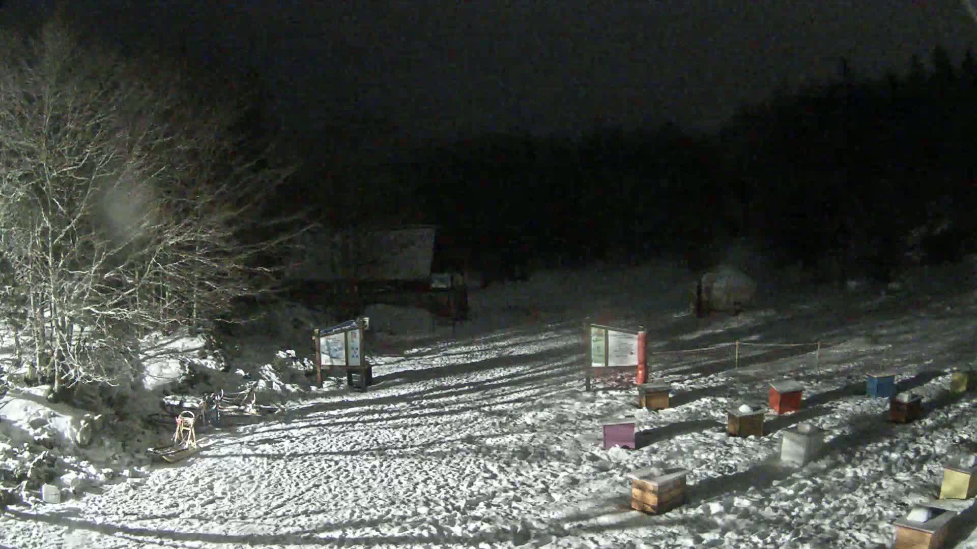 A snow-covered area at night, illuminated by artificial light, features several small structures, possibly beehives, and a dog sled nearby, with bare trees in the background.