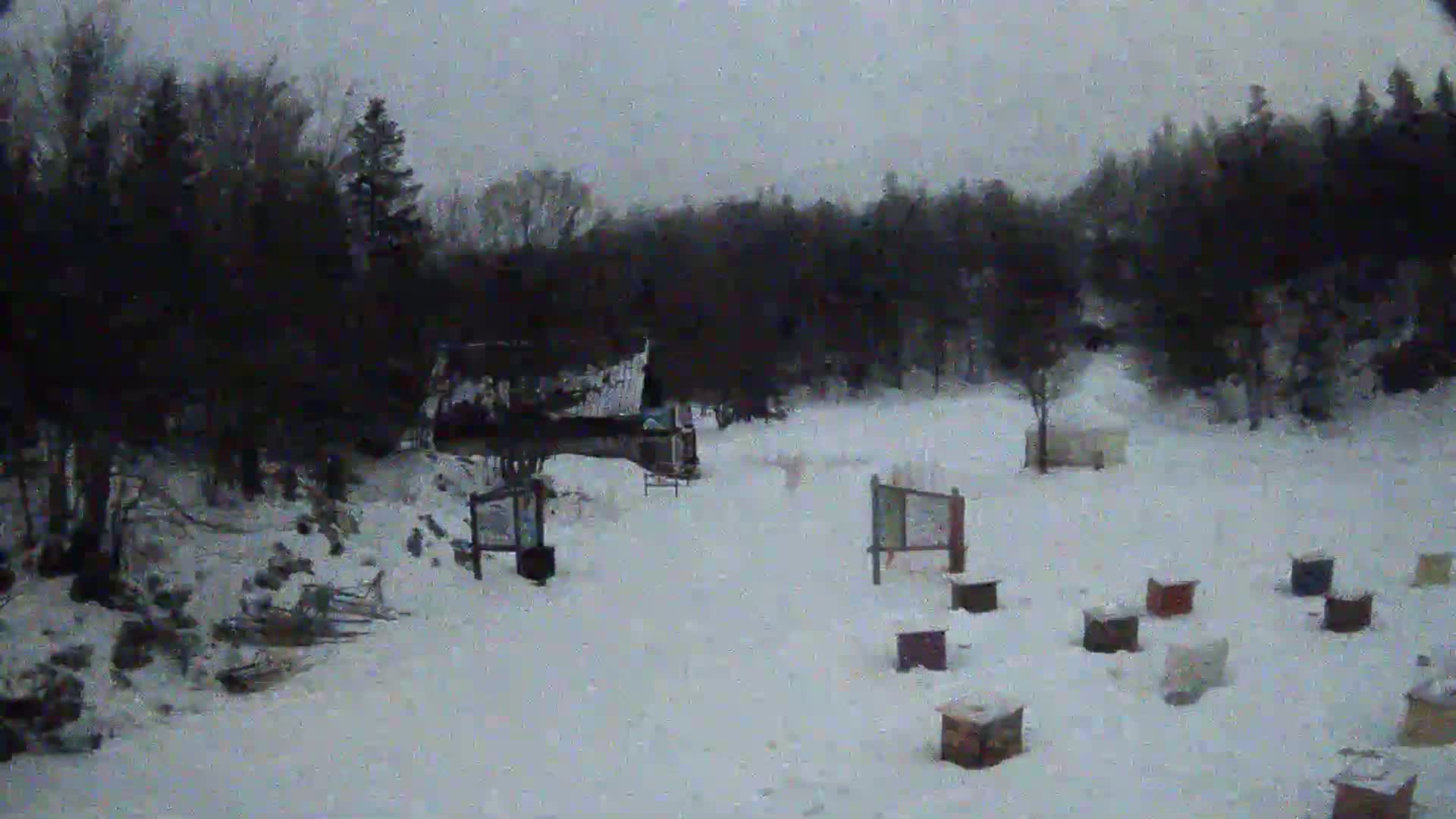 A snow-covered area with several small wooden boxes scattered about, a small building, and a line of trees in the background under an overcast sky.