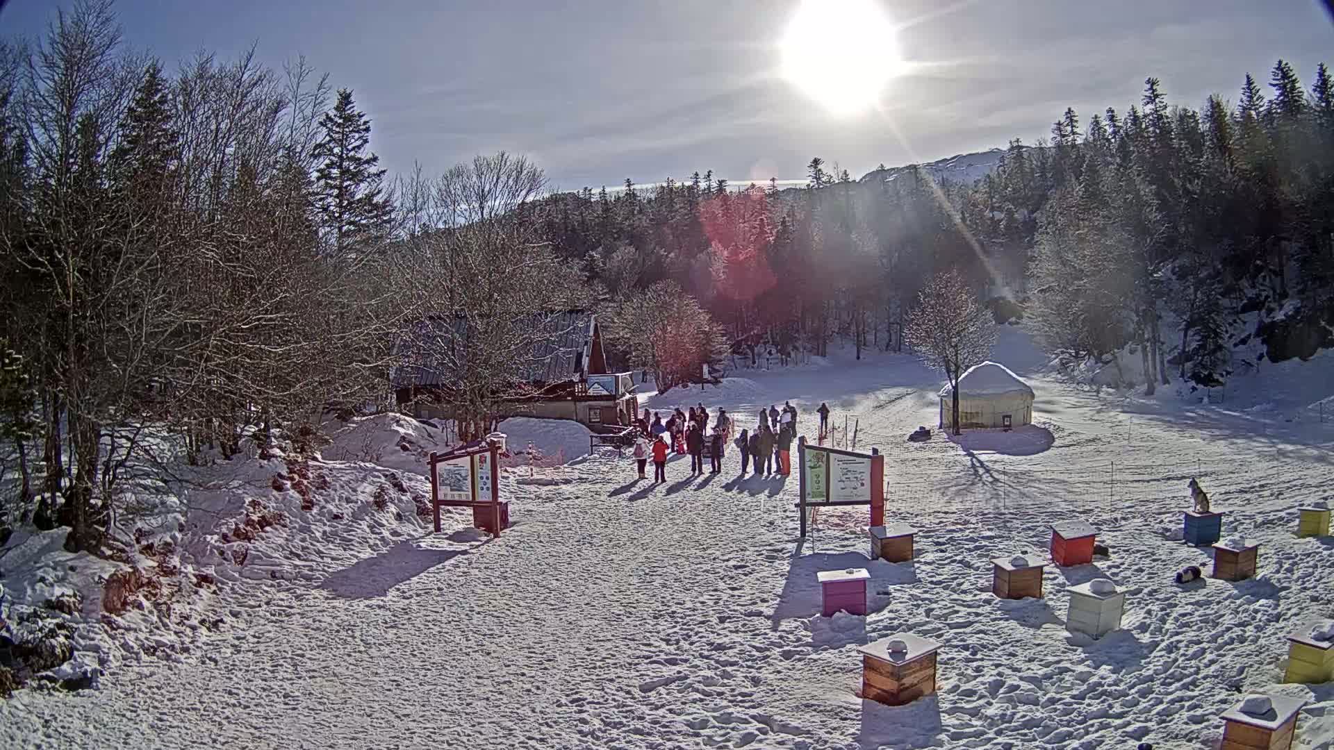A sunny winter scene shows a snow-covered area with a group of people near a building, several beehives, and a yurt, all surrounded by leafless trees.