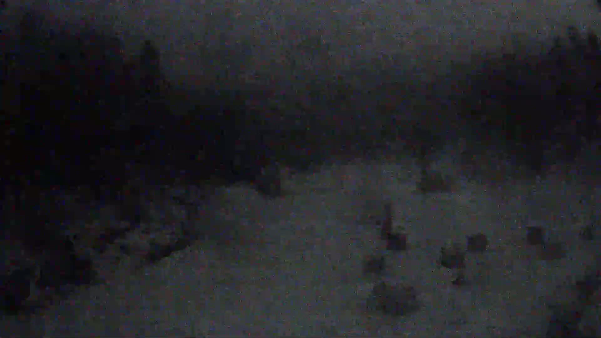A dark, snowy landscape is visible with indistinct shapes suggesting trees and possibly small structures in the distance.