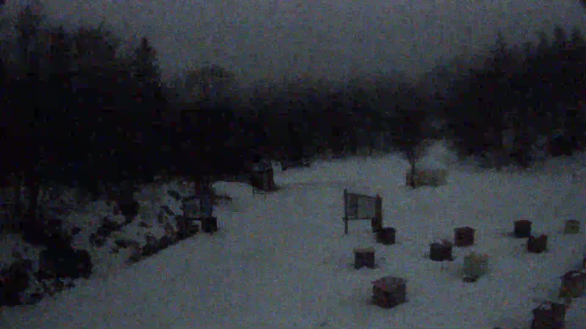 A snow-covered area with numerous dark wooden boxes scattered around, set against a backdrop of dark trees under a dim, overcast sky.