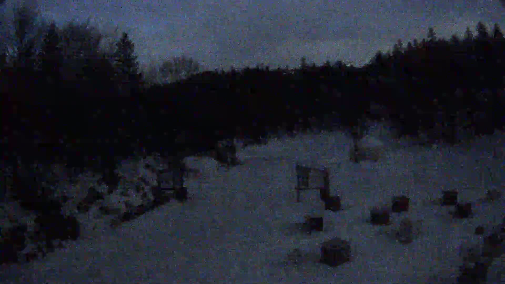 A snow-covered area with dark trees in the background under a twilight sky.