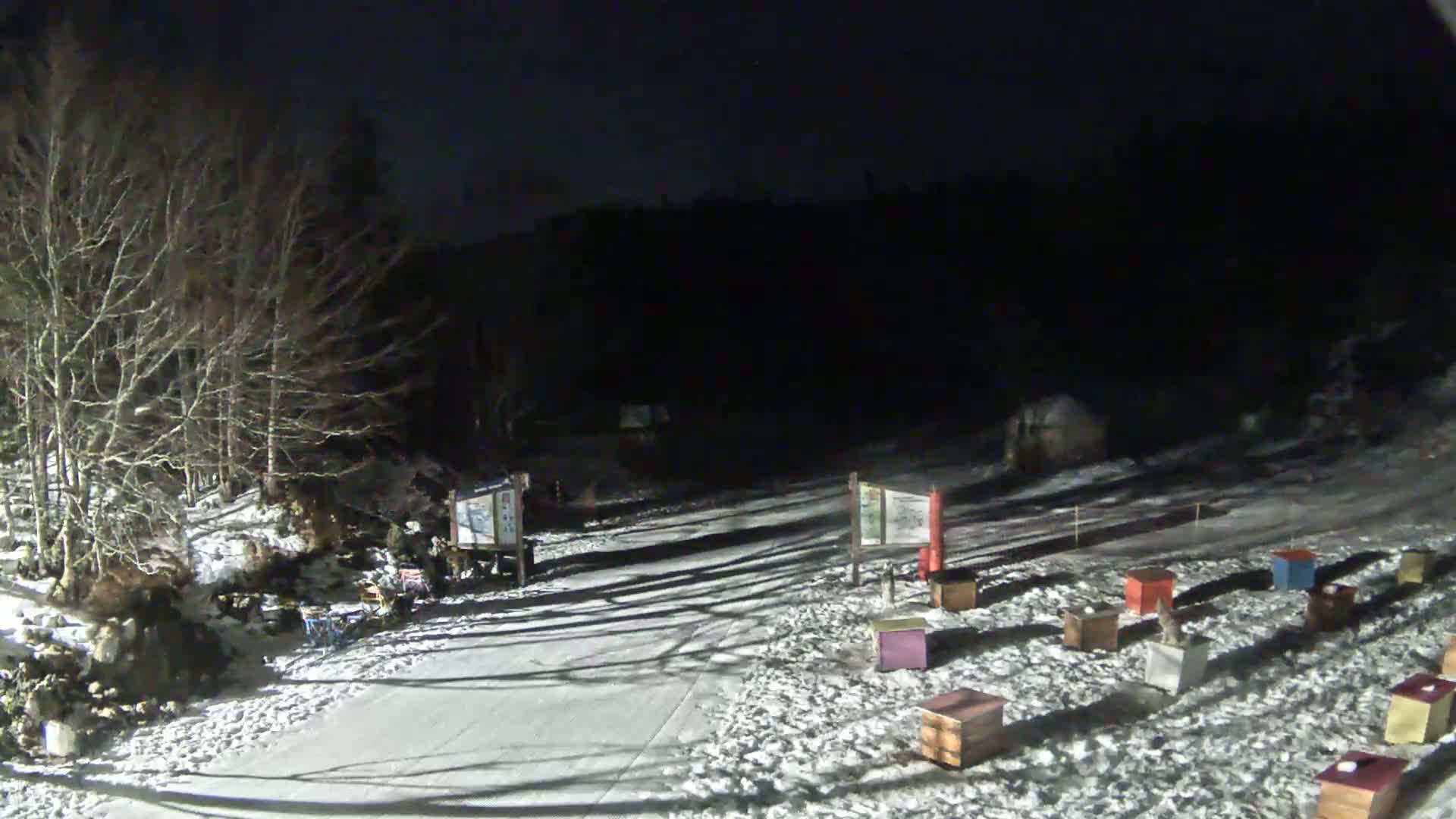 A snow-covered area at night, illuminated by artificial light, shows bare trees, several small wooden boxes scattered on the ground, and a few signs.