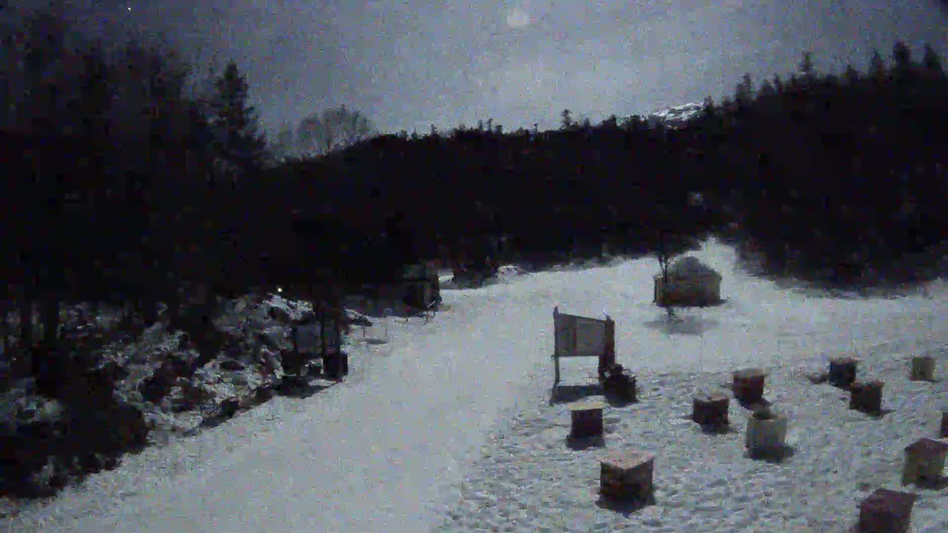 Under a moonlit sky, a snow-covered area features numerous small structures scattered across a clearing, bordered by a dark forest.