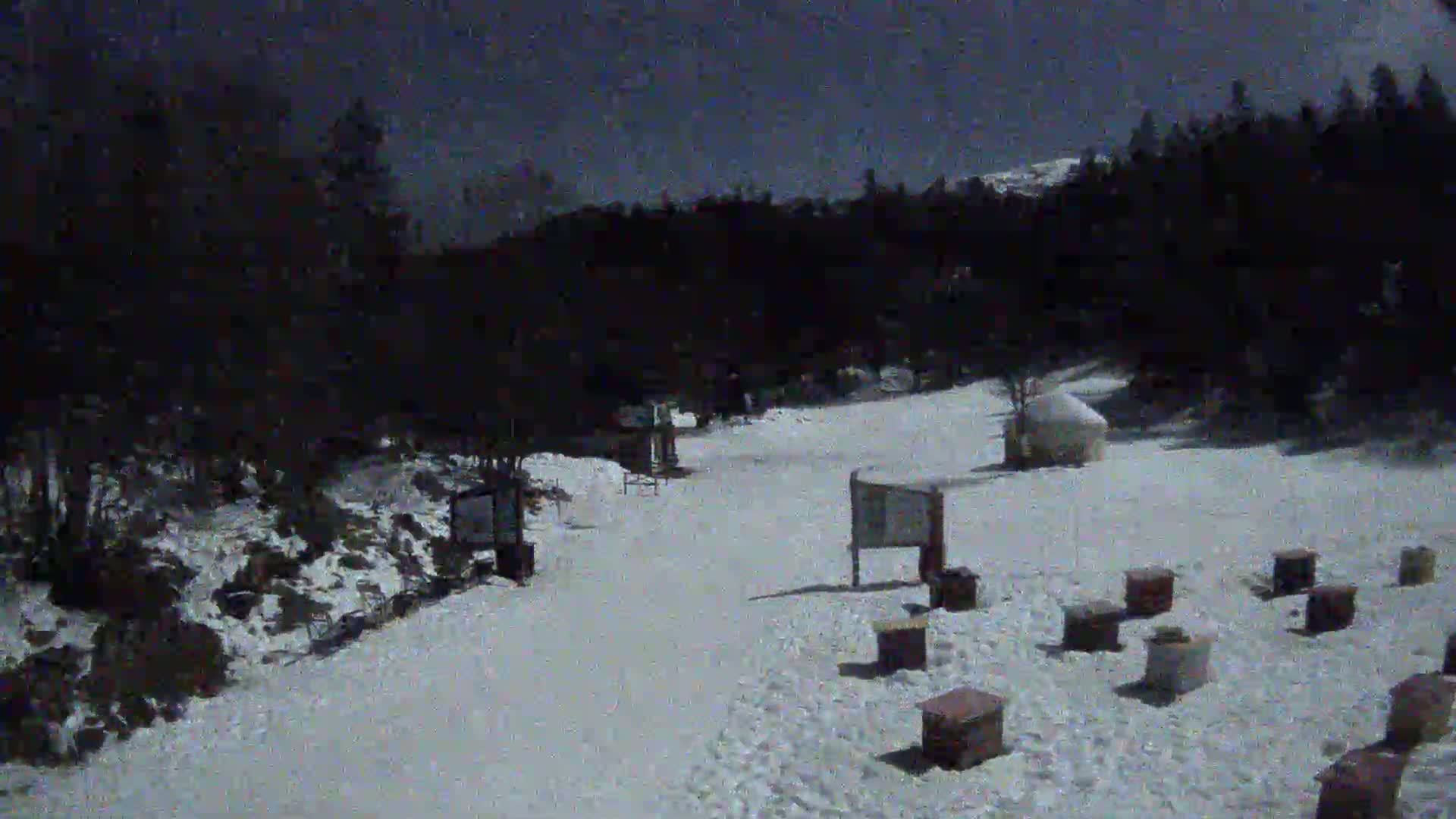 A snow-covered area with several small structures and a dark forest in the background under a night sky.