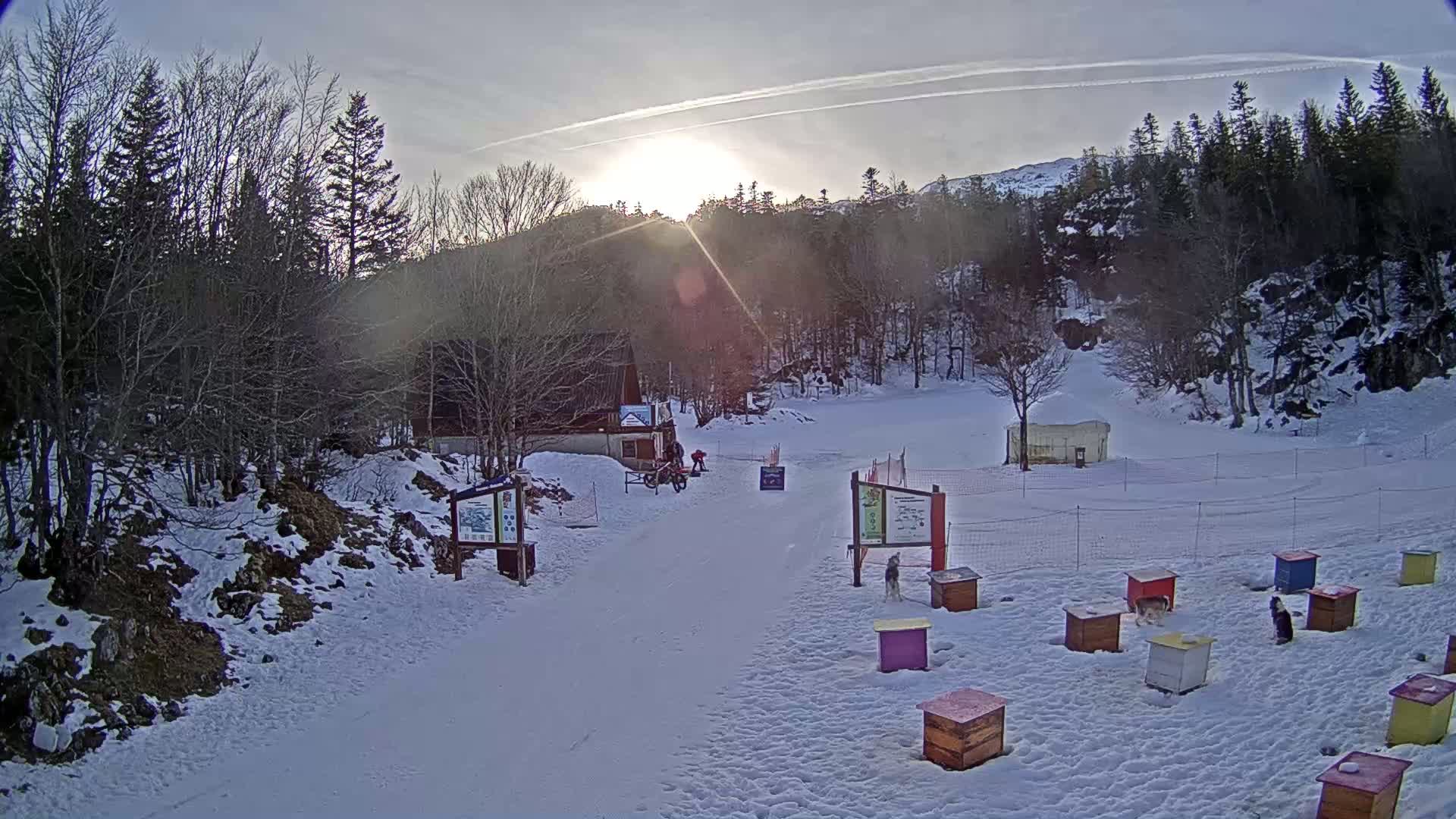 A snow-covered landscape with a small building, several colorful dog houses, and a few people near a sunlit forest under a mostly clear sky.