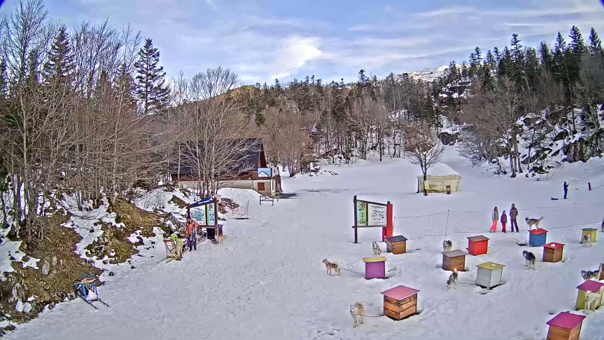A snow-covered area with a small building, numerous dog houses, several dogs, and people near a snowy, wooded hillside under a partly cloudy sky.