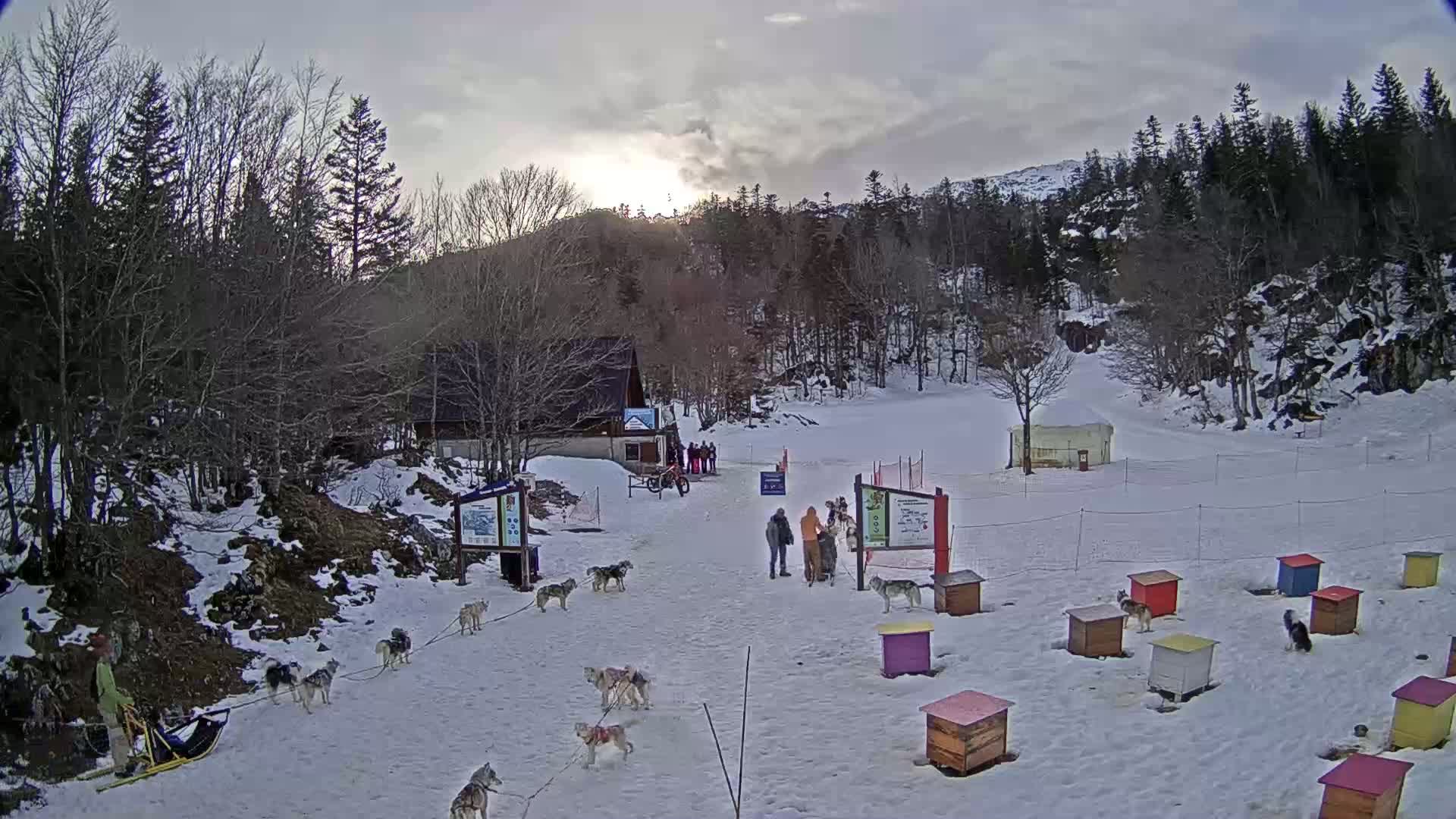 A snowy, sunlit scene shows a dog sledding area with several dogs, people, and small dog houses.