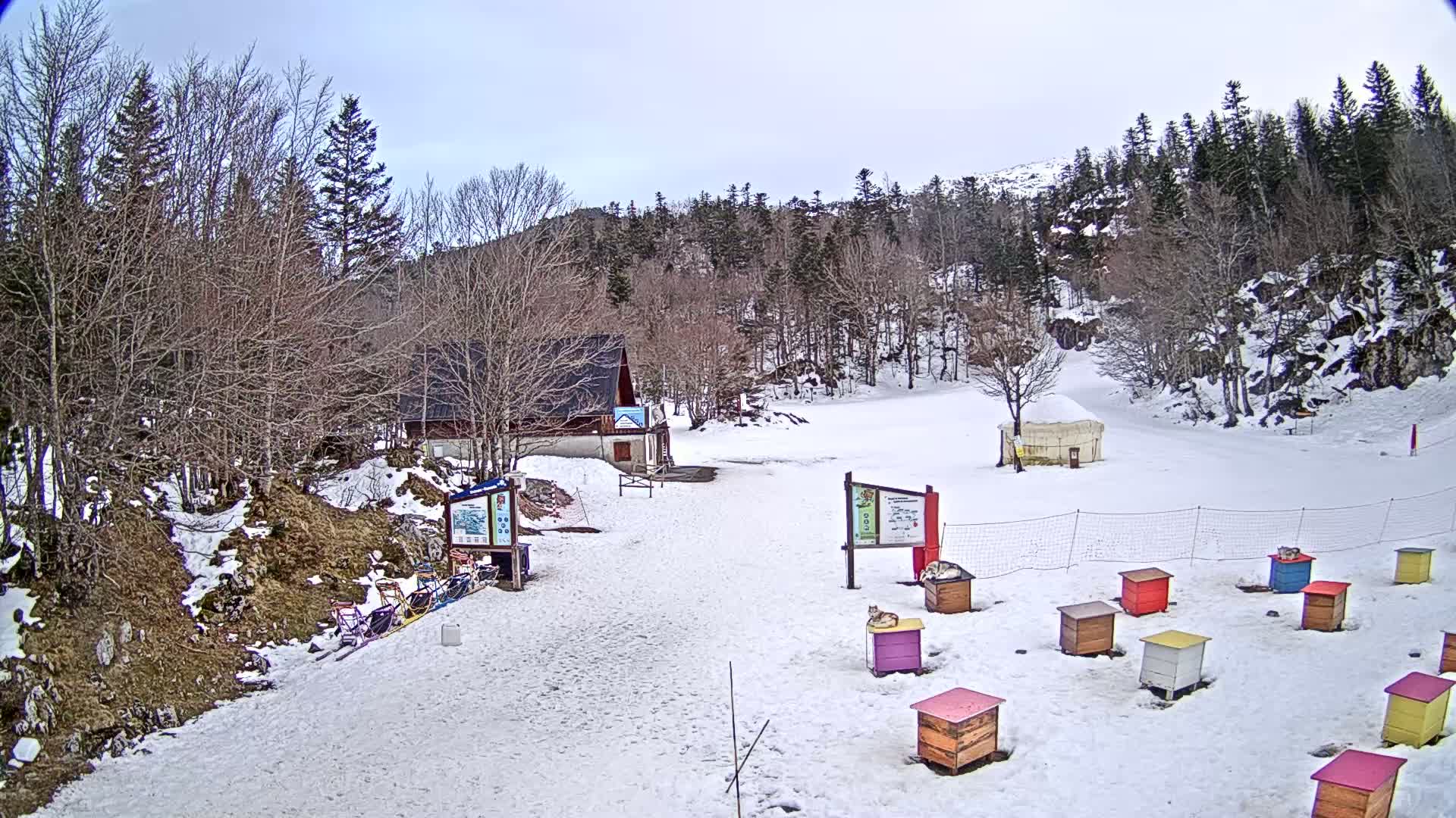 A snow-covered clearing in a wooded area features a small building, several colorful dog houses, and a yurt under an overcast sky.