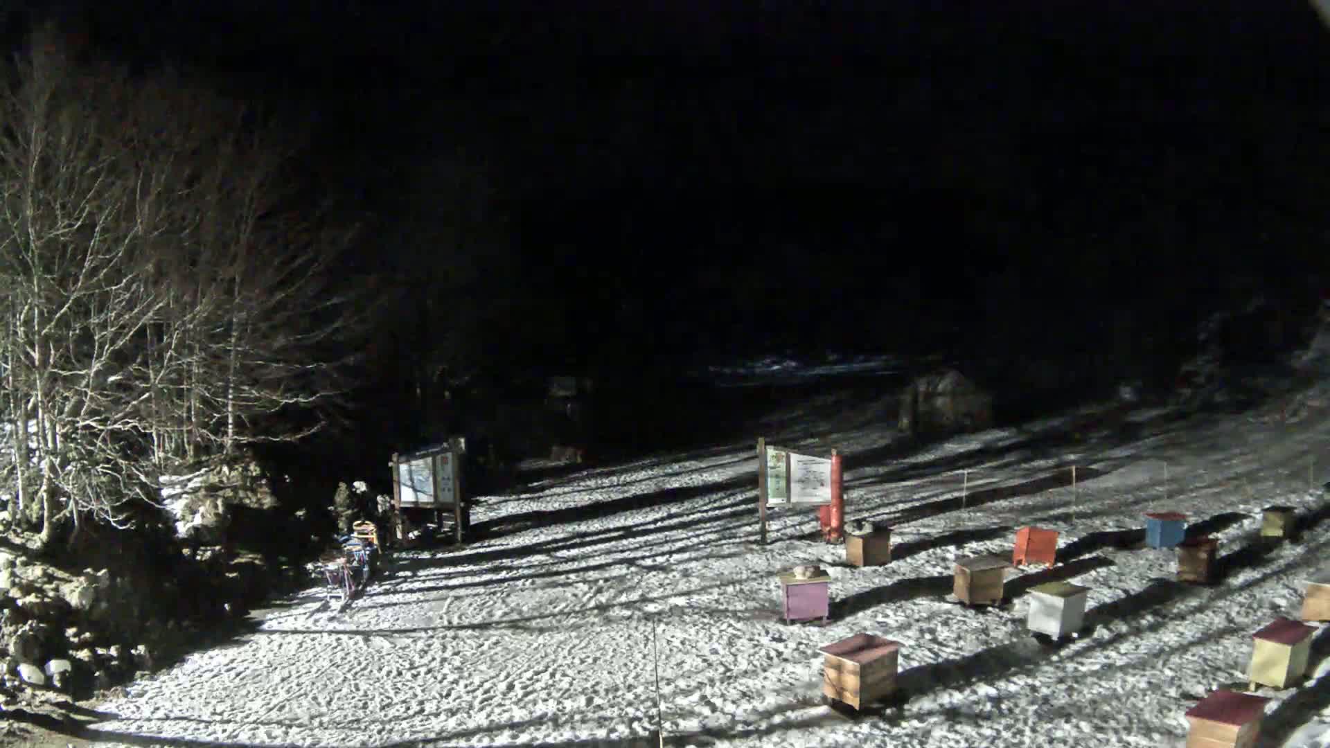 A snow-covered area at night, illuminated by artificial light, shows several small wooden boxes scattered about, with bare trees and information boards in the background.