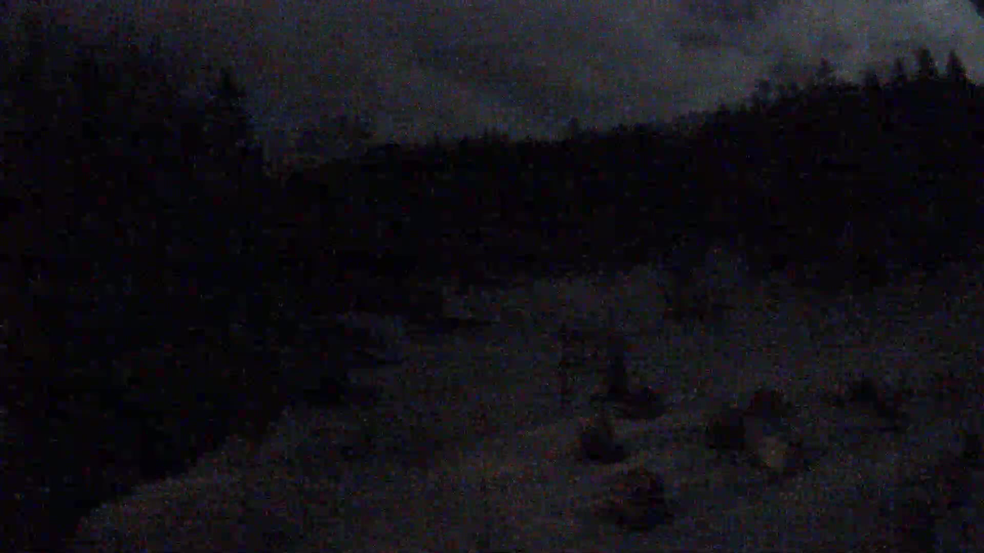 A dark, nighttime scene shows a snow-covered ground with indistinct shapes possibly animals or objects, in front of a dark line of trees under a cloudy sky.