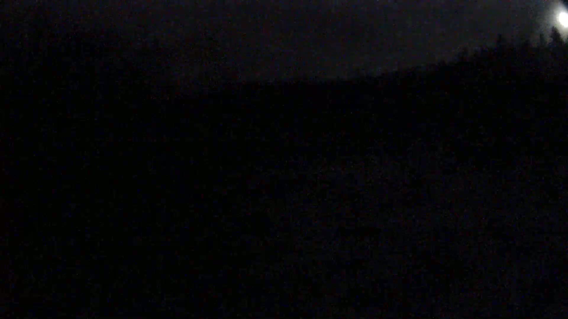 A dark, nighttime scene shows a moonlit treeline in the distance.