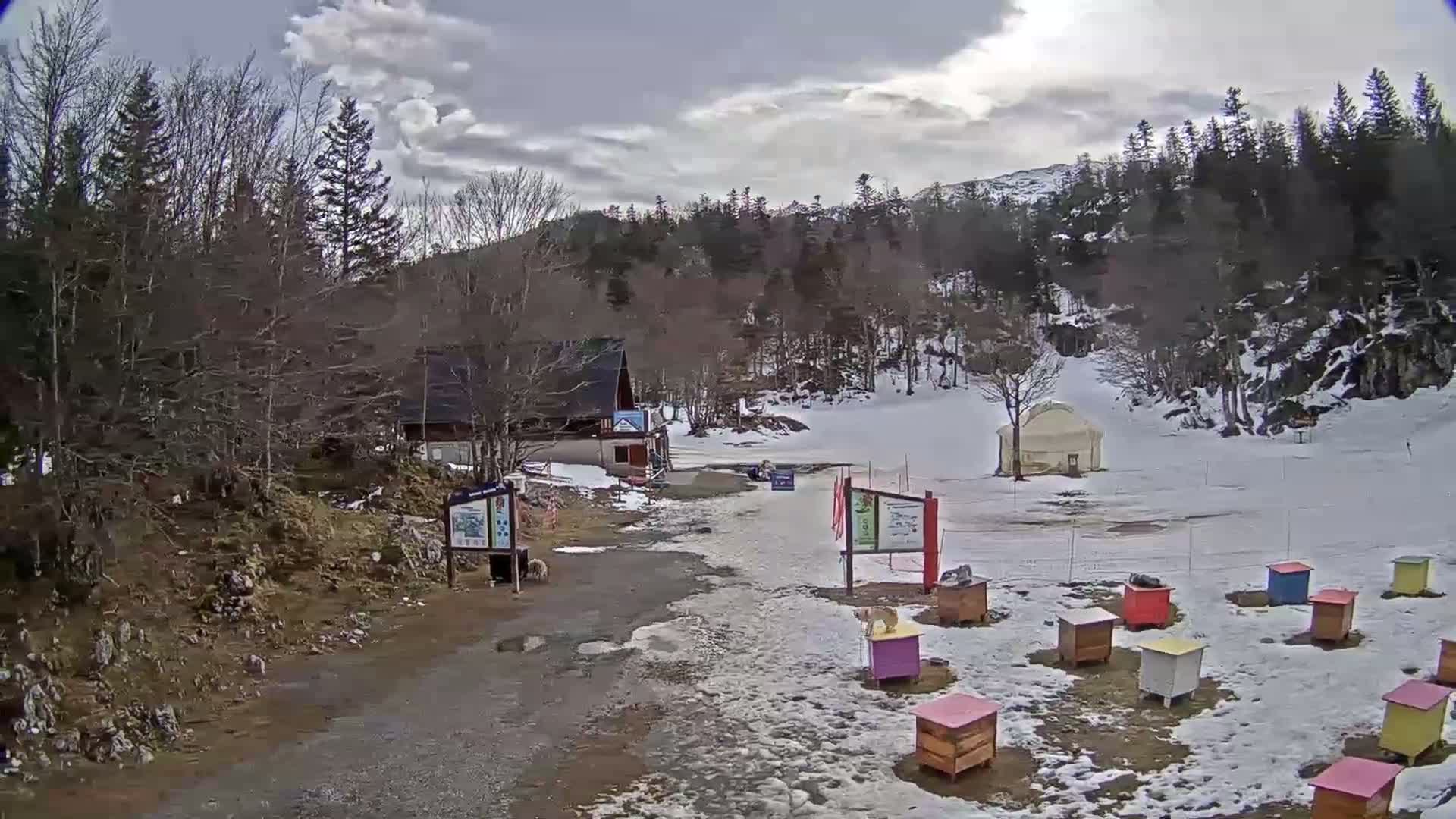 A snowy, overcast scene shows a small building and several colorful beehives near a dirt road in a forest clearing, with partially snow-covered ground.