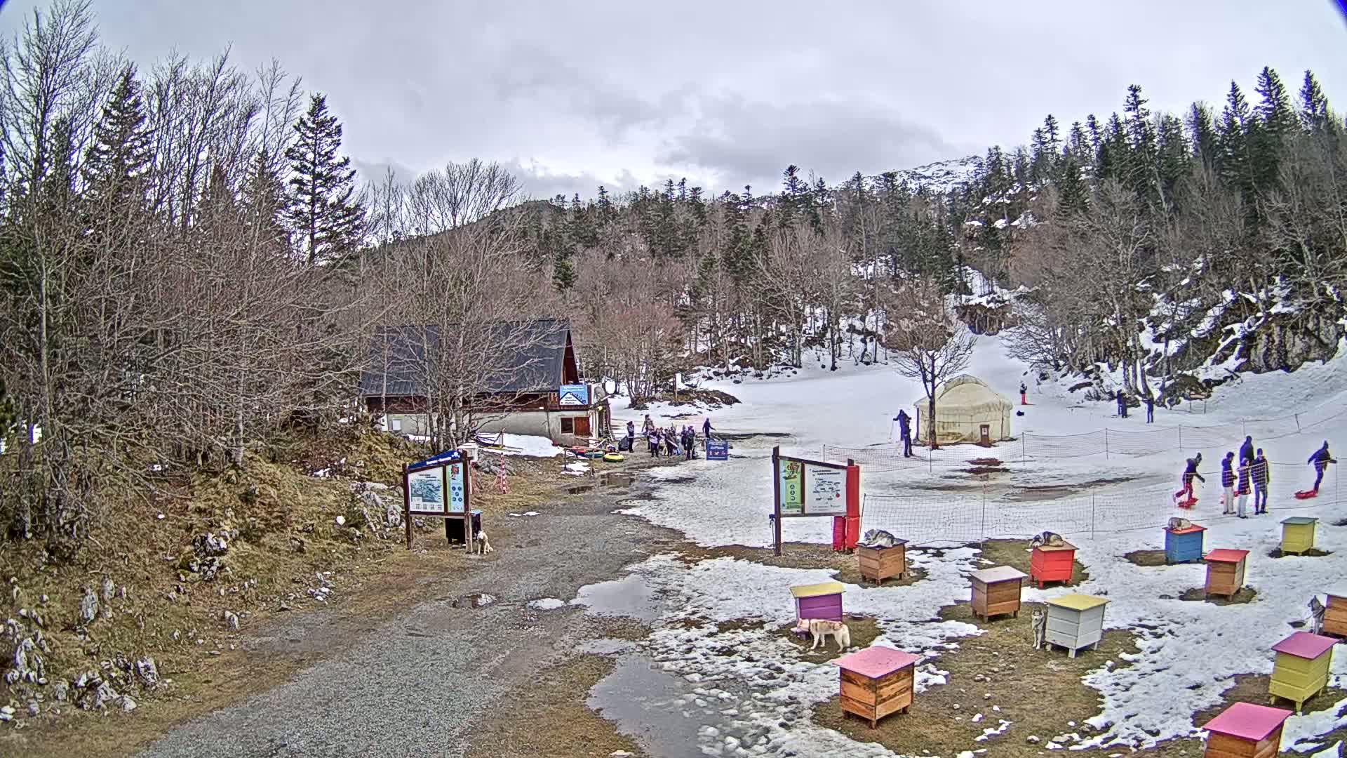 A snowy, overcast day at a small ski area with a yurt, a lodge, several people, and numerous dog houses scattered across the snow-covered ground.